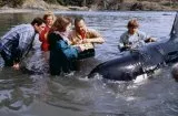 Free Willy 2: The Adventure Home (1995) - Glenn