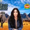 Terra Mater: Cher und der Elefant (2021)