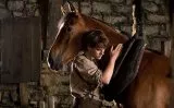 Vojnový kôň (2011) - Albert Narracott