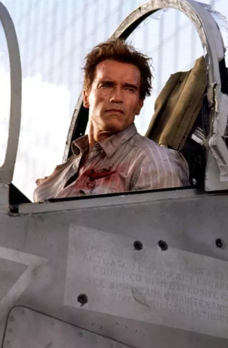 Arnold Schwarzenegger (Harry)