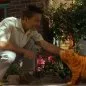 Garfield ve filmu (2004) - Jon