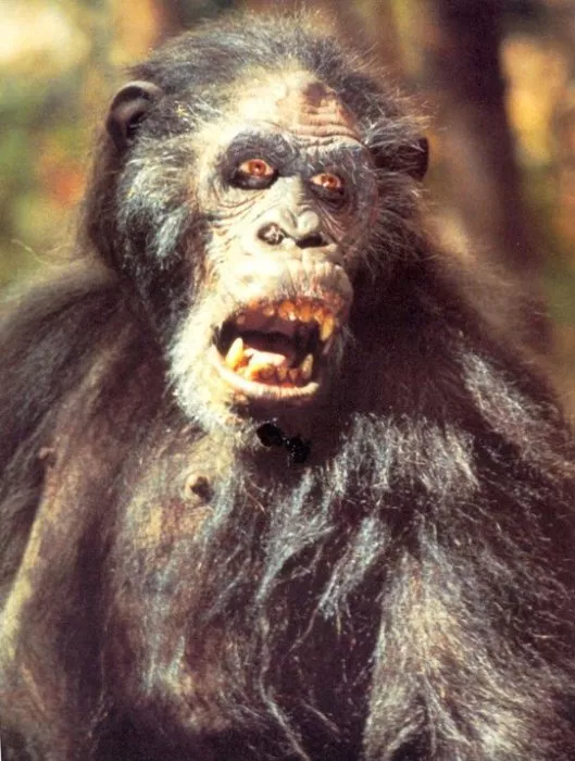 John Alexander (White Eyes, Primate Leader) zdroj: imdb.com