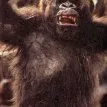 Tarzan / Příběh Tarzana, pána opic (1984) - White Eyes, Primate Leader
