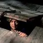 Smrteľné zlo 2 (1987) - Henrietta Knowby