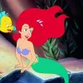 Malá morská víla (1989) - Flounder