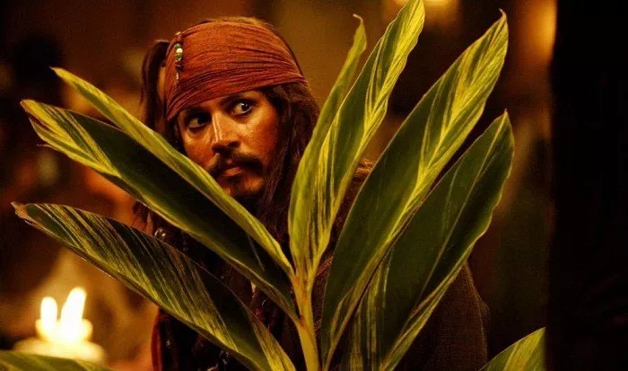 Johnny Depp (Jack Sparrow) Photo © Walt Disney Pictures