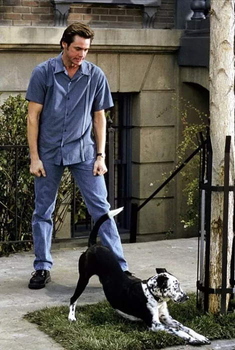 Jim Carrey (Bruce Nolan)