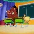 Timon a Pumbaa (1995-1999) - Timon