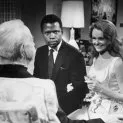 Guess Who's Coming to Dinner (1967) - Joey Drayton