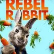 Králik Peter (2018) - Peter Rabbit