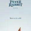 Králíček Petr (2018) - Peter Rabbit