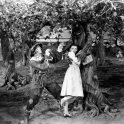 Čarodejník z krajiny Oz (1939) - 'Hunk'