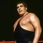 Andre the Giant (2018) - Andre the Giant