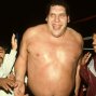 Andre the Giant (2018) - Andre the Giant