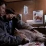 Cintorín domácich zvierat 2 (1992) - Drew Gilbert
