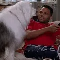 Black-ish 2014 (seriál 2014-2022) - Andre 'Dre' Johnson