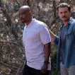 Lethal Weapon (2016-2019) - Roger Murtaugh