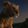 Leví kráľ (2019) - Young Simba