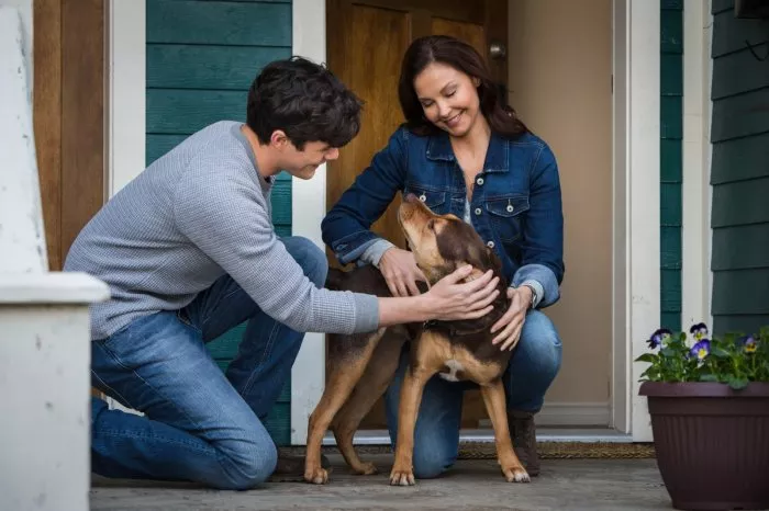 Ashley Judd (Terri), Shelby The Dog, Jonah Hauer-King (Lucas) zdroj: imdb.com