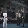 Ip Man 4 (2019) - Karate Instructor